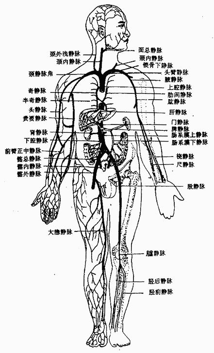 ϡǻ岿Ҫ