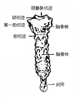 عǣǰ棩