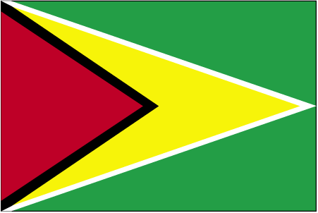 Flag of Guyana