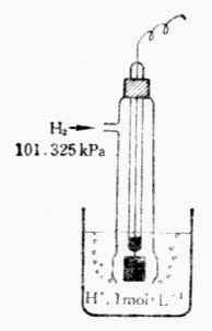 ��׼�����缫